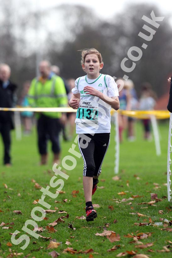 Green 1132, North East Harrier League, Blaydon.